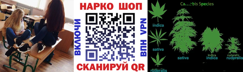 Купить закладку Амфетамин  СОЛЬ  Кокаин  ГАШИШ  Меф мяу мяу  Каннабис  Нерюнгри