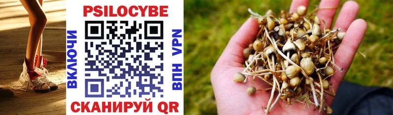 Купить  Нерюнгри  Псилоцибиновые грибы Magic Shrooms 