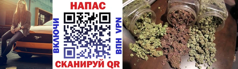 Бошки марихуана сатива  Купить где  Нерюнгри 
